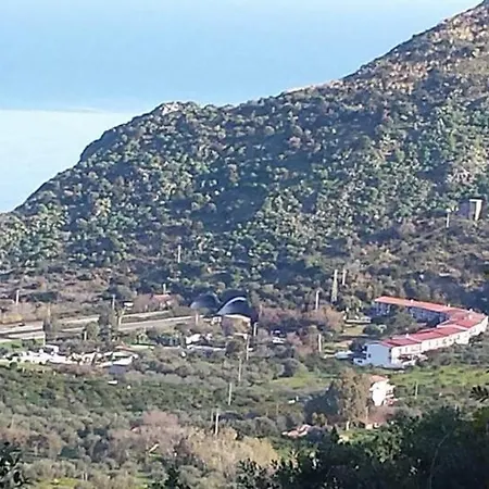 Xenia